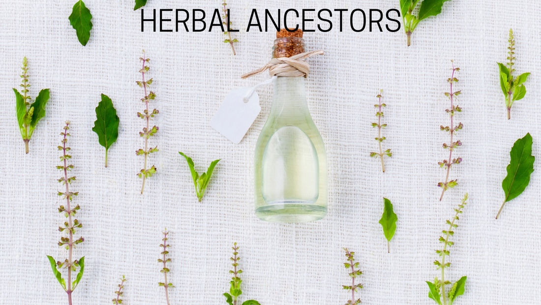 Herbal Ancestors ~ Tinctures ~